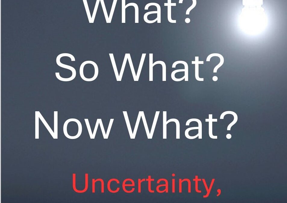 What? So What? Now What?: Uncertainty, Transformation, and Upheaval 